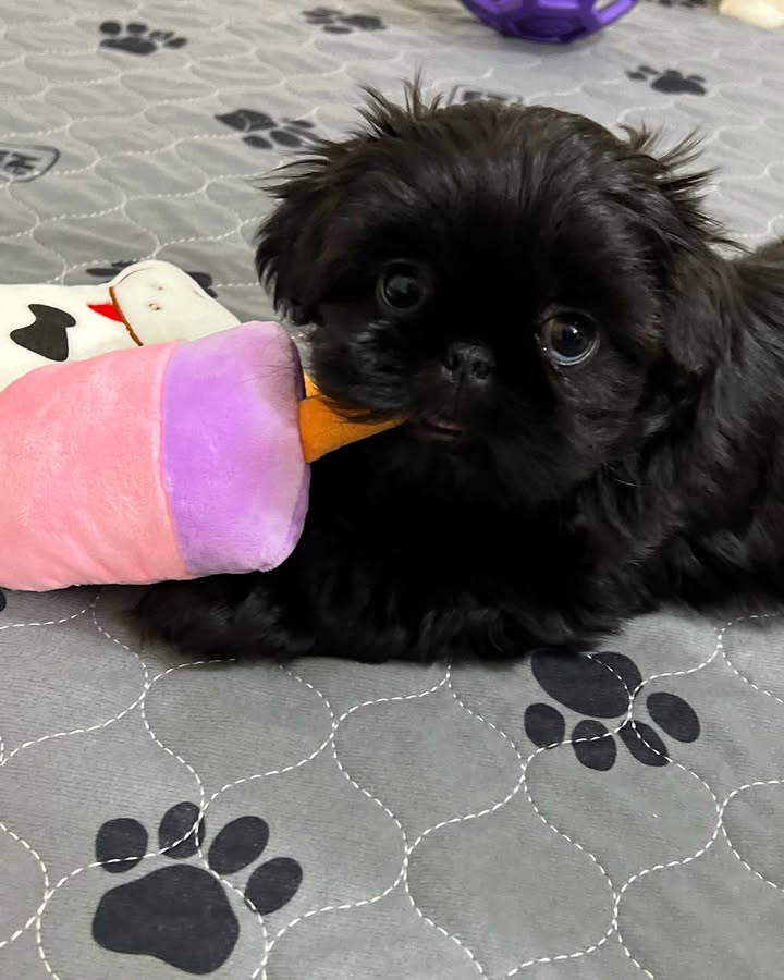 Gallery image 3 of Sally