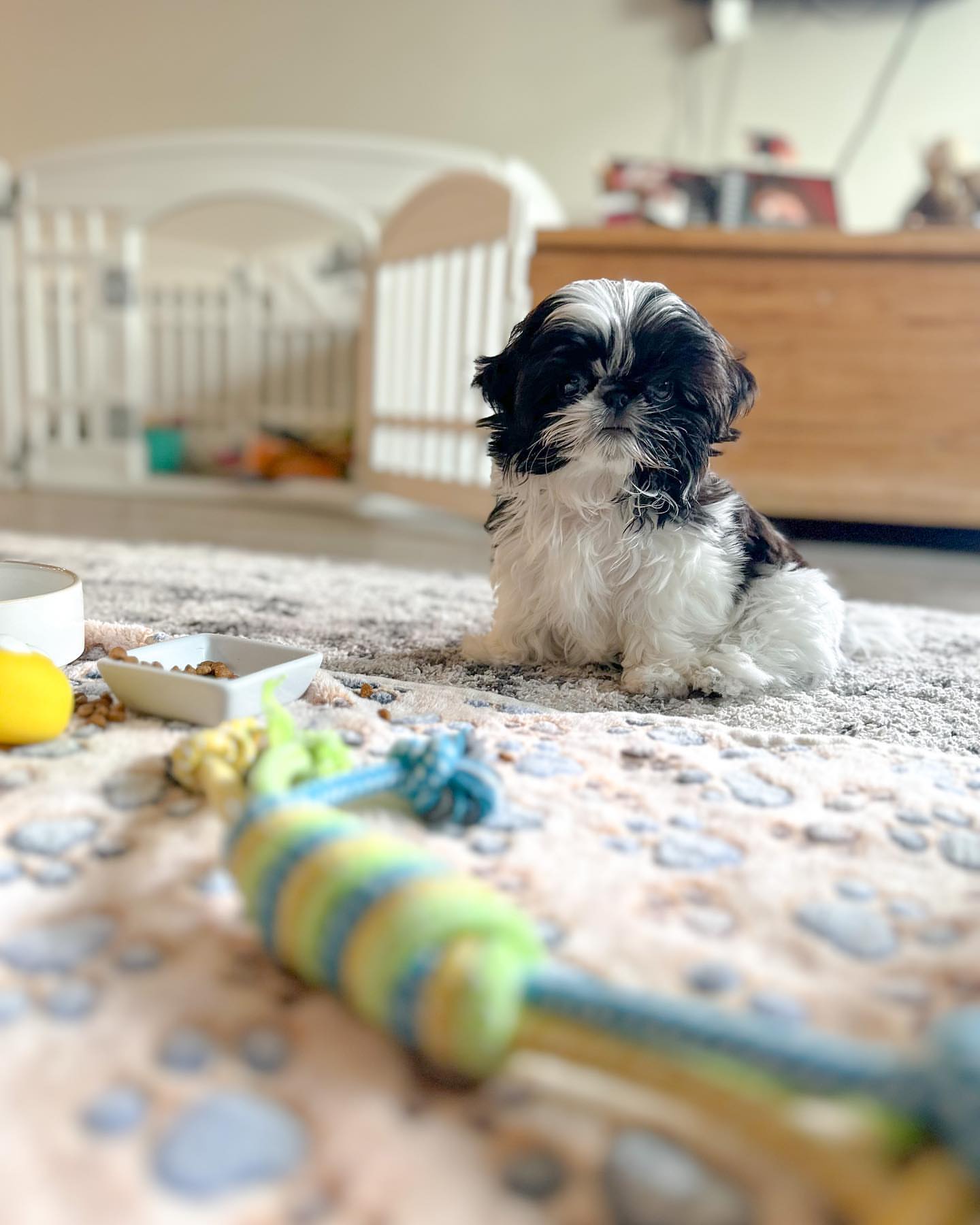 Gallery image 2 of Lizzy