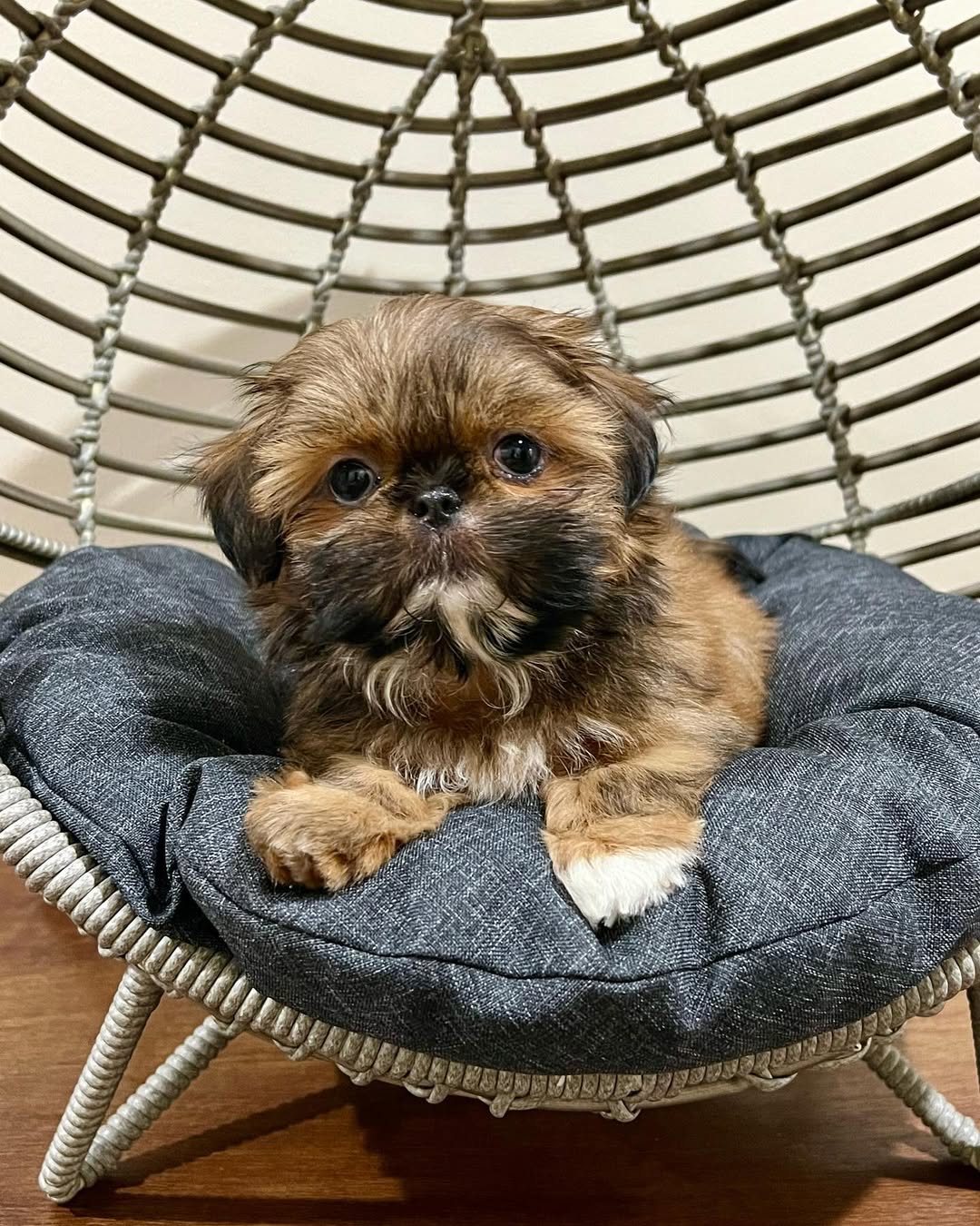 Gallery image 1 of Maverick