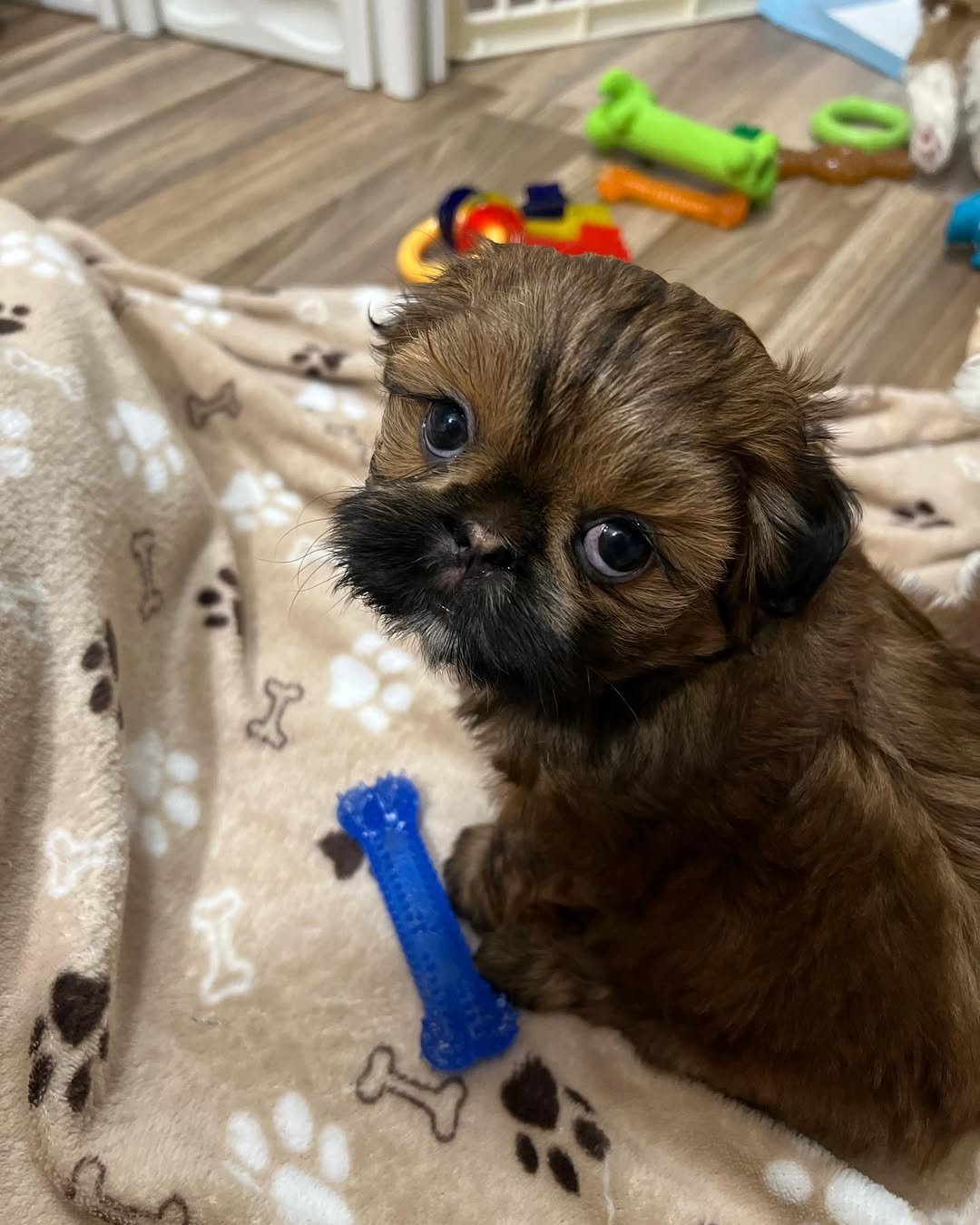 Gallery image 3 of Luna